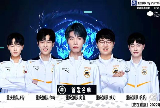 判报告的初
